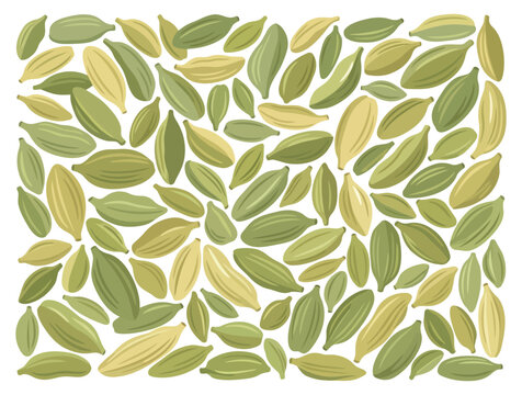 Pattern of green cardamom pods, culinary background illustration