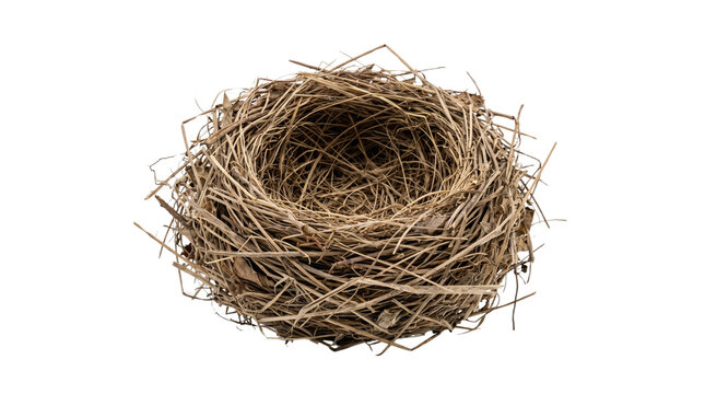 Empty bird nest constructed from dried brown twigs and grass isolated on a white background