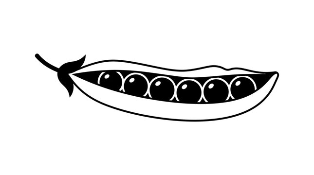 Black and white line art illustration of a split pea pod with peas.