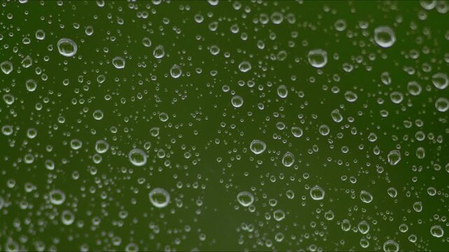 water drops on green leaf