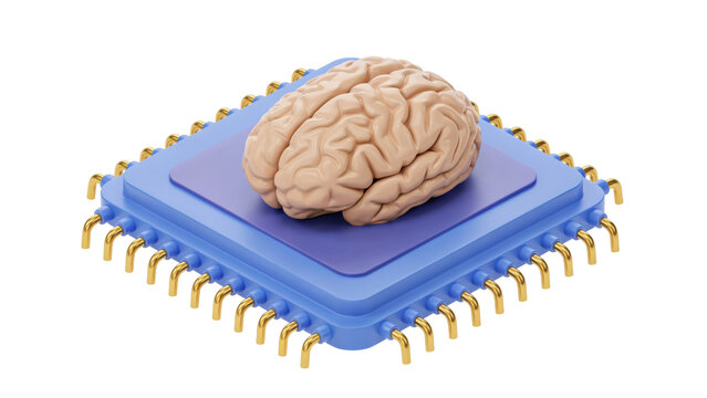 Human brain resting on of a blue electronic microchip processor with gold pins for computing concepts isolated on a transparent background