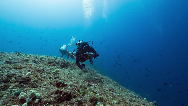 Underwater shot of SCUBA Divers in strong current being swept over a deep tropical reef in Peleliu, Palau	