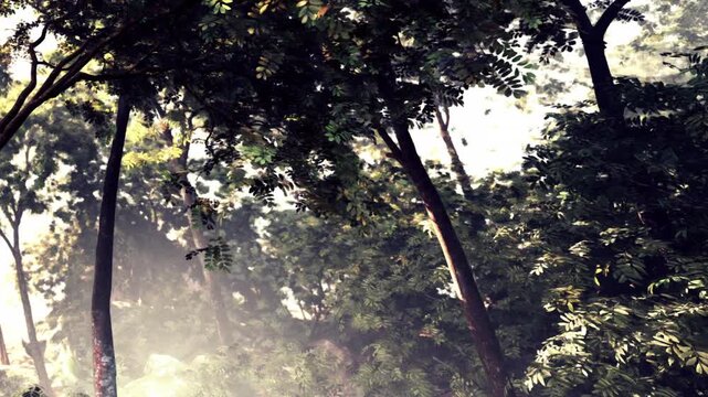 Sunlight shines through the leaves of tall trees in a forest. The ground has low plants and shadows from the trees. It is a bright day and the atmosphere feels fresh and alive.