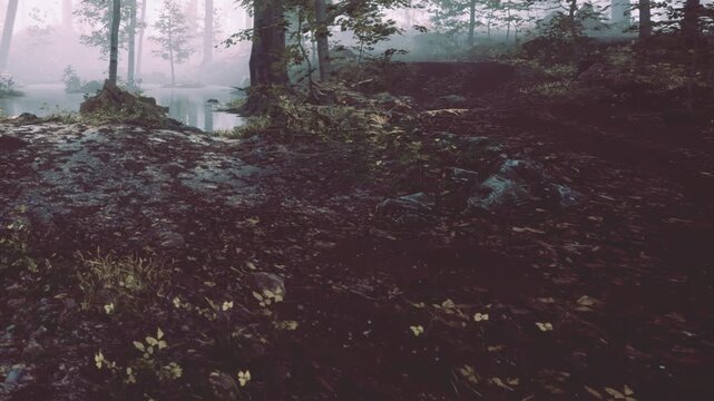 A quiet forest shows wet ground and scattered leaves. Trees stand tall with fog enveloping the area. The time is early morning with little light. Nature looks untouched.