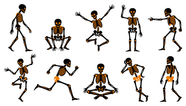 A collection of various poses for a halloween skeleton vector illustration set featuring multiple dynamic human bone characters isolated
