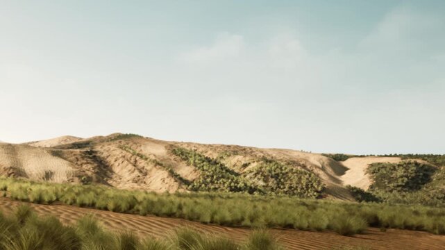A vast area features rolling hills covered in green grass. The sky is clear, and the sunlight creates shadows on the landscape. This scene captures natures simplicity.
