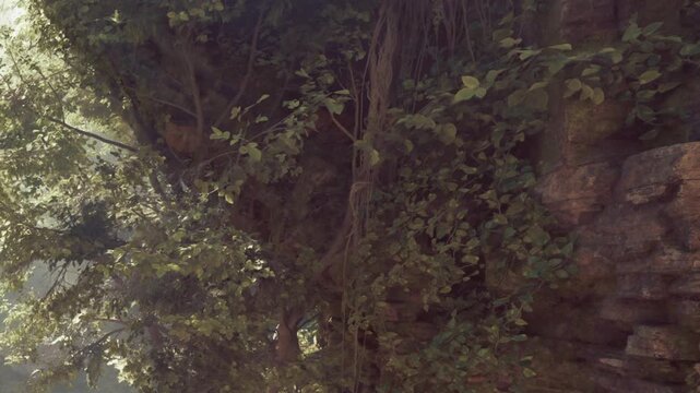 The scene shows dense green plants and leaves growing on a rocky cliff in a forest setting. Sunlight filters through the foliage, creating natural shadows.