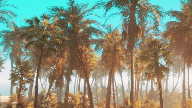 Palm trees fill the scene in a tropical area under bright blue skies during the day. Sunlight shines through the leaves creating a vibrant atmosphere.