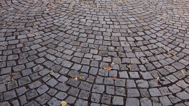 Traditional cobblestone pavement forms curved patterns with weathered gray stones and scattered fallen leaves creating a textured old town street surface in daylight view
