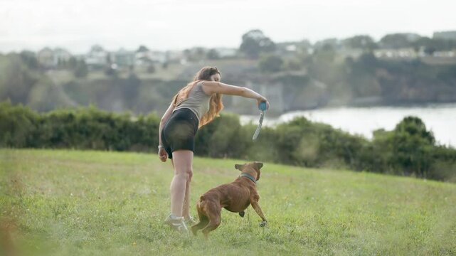 Happy young woman playing with her adorable boxer dog in a beautiful grassy field. The energetic pet is jumping to catch a toy