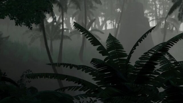 Ferns grow in a dense forest surrounded by fog. The tall trees are partially hidden. It is early morning in a tropical area, creating a mysterious atmosphere.