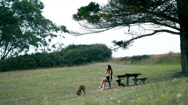 Distant view of a young woman sitting on a wooden bench under a tree in a park. Her brown dog is sniffing the grass nearby