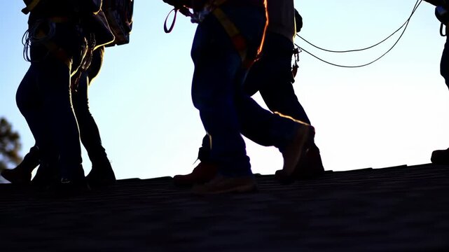 Harnessed people walk across sloped rooftop in low-angle silhouette, safety lines trailing between them as boots cross dark shingles against bright sky beside small brick chimney