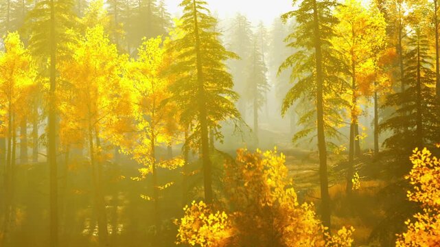 Bright yellow trees fill a forest scene as sunlight filters through the branches. The ground is covered with fallen leaves, showing the beauty of autumn in the forest.