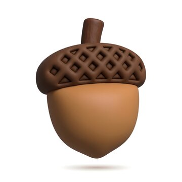 3D cartoon acorn icon with textured brown cap isolated on white background isolated seasonal wildlife