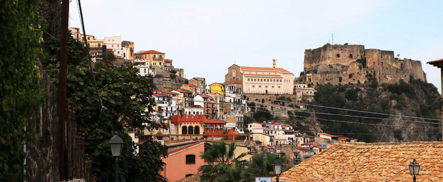 Scilla