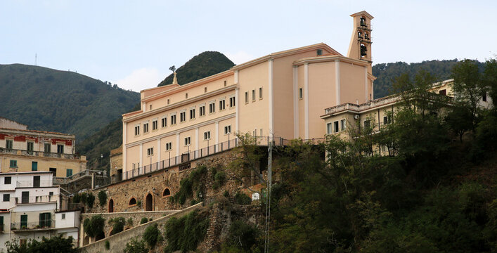 Scilla