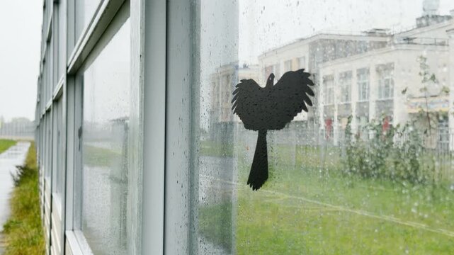 A noise barrier wall stands outdoors with bird stickers. Raindrops cover the wet glass surface. This dreary scene creates a gloomy, lonely, and melancholic feeling.