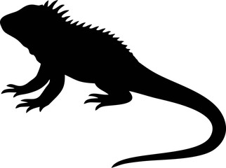 Obraz premium Baby Iguana Silhouette Vector Illustration