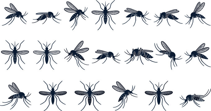 Mosquito insect vector silhouette collection featuring flying and landing pest bugs from various angles for malaria disease control and healthcare health infographics