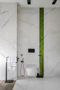 Bathroom wall hung toilet green moss
