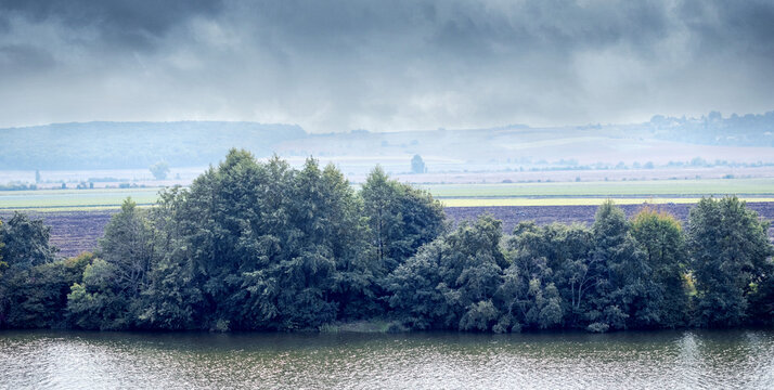 Green trees on riverbank under overcast sky rural landscape