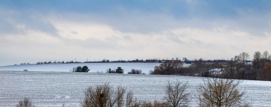 Winter countryside landscape with snow-covered fields and trees on horizon