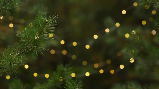 Festive Evergreen Branch with Glowing Golden Bokeh Loop Background. Seamlessly looping background of a lush green pine tree branch on the left with warm twinkling holiday lights.