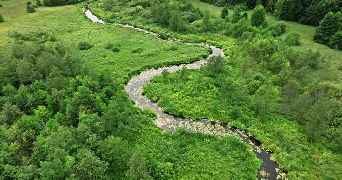 Flying above a winding river in dense green forest, Poland.