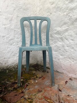 Silla y hojas secas