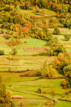 countryside mountain scene. autumnal nature texture of a deciduous forest on a steep hillside. rural area of Uzhanian park of Transcarpathia, Ukraine