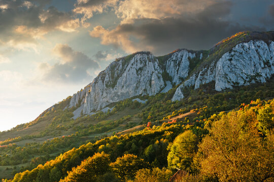 beautiful autumn afternoon in mountains. trees on the edge of Buces Vulcan mountain of Transylvania in fall colors. wonderful countryside of romania on a sunny weather in evening
