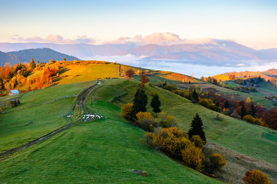 scenic carpathian morning in autumn. countryside mountain landscape with forest in fall colors. path leading through rolling hills in to the foggy valley under bright sky