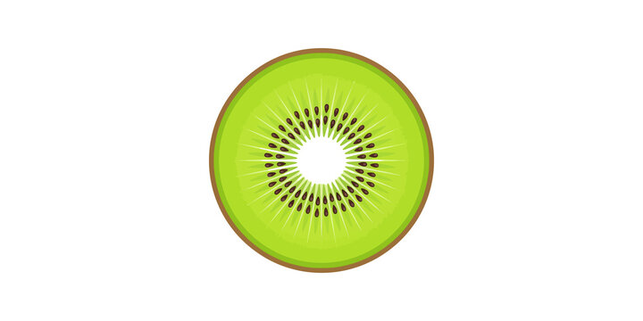 Green kiwi fruit slice illustration isolated on transparent background vector.