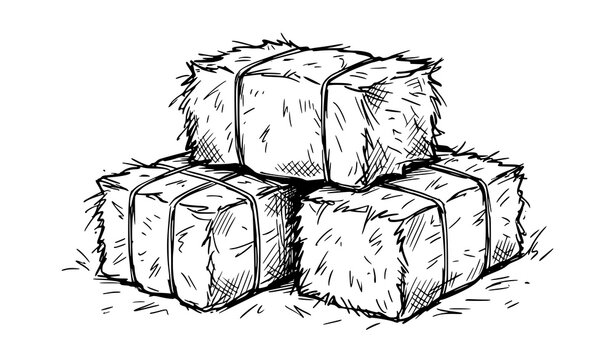 Hand drawn sketch illustration of a stack of three square hay bales isolated on white background