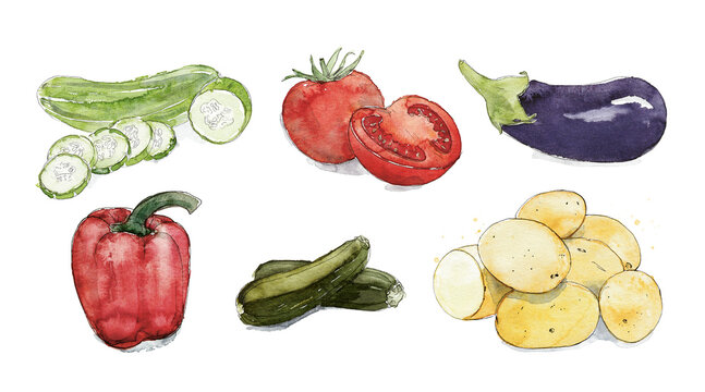 Sets of Fruits and Vegetables, Nachtschattengew&auml;chse: Gurke, Tomate, Aubergine, Paprika, Zucchini, Kartoffel