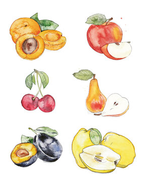 Sets of Fruits and Vegetables, Obst, Mirabelle, Marille, Apfel, Birne, Kirsche, Birne, Pflaume, Quitte