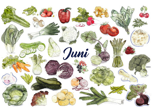 Saisonkalender - Obst und Gem&uuml;se, regional und saisonal, nachhaltig und gesund durchs Jahr, Juni