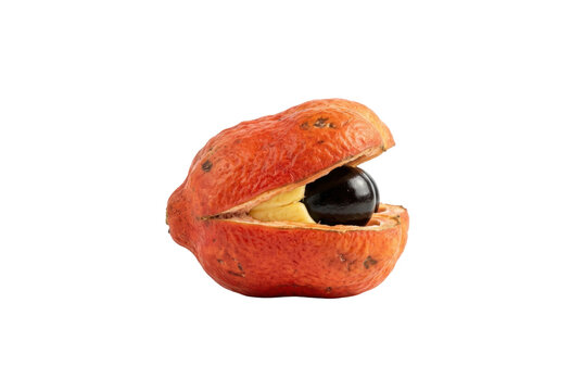 Ripe ackee fruit open showing black seed.