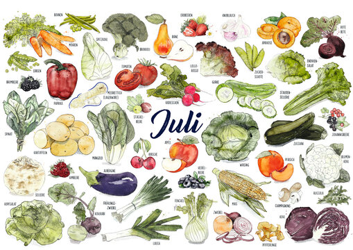 Saisonkalender - Obst und Gem&uuml;se, regional und saisonal, nachhaltig und gesund durchs Jahr, mit Bezeichnungen, Juli