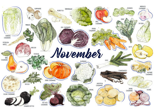 Saisonkalender - Obst und Gem&uuml;se, regional und saisonal, nachhaltig und gesund durchs Jahr, mit Bezeichnungen, November