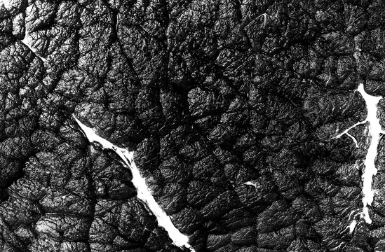 Close-up of raw meat texture with fat streaks in black and white.