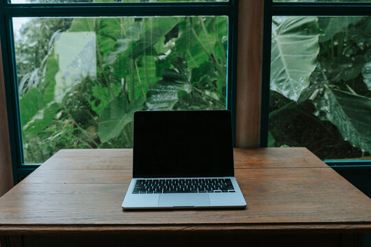 Laptop on a wooden table in front of a window with lush green tropical foliage