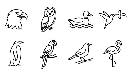 Obraz premium Hand-drawn line art icons of twelve distinct bird species including eagle, owl, penguin, and flamingo arranged in a grid.