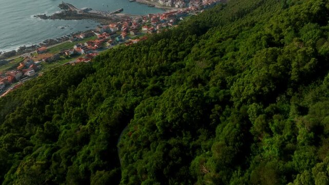 Breathtaking aerial vista of A Guarda, Spain, where the lush emerald forest seamlessly meets the charming coastal town and the vast Atlantic Ocean, evoking a profound sense of tranquil discovery and