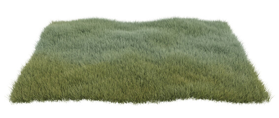 Fototapeta premium Square patch of soft green lawn and meadow grass on a transparent background for landscape design, sustainability reports, garden branding, ecology education, editorial layouts, and web banners
