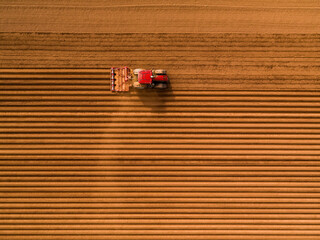 Red tractor planting carrot seeds in neat rows on a vast agricultural field, seen from an aerial perspective © oticki