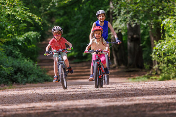 Fototapeta premium Group of children training riding bicycles along a wooded trail