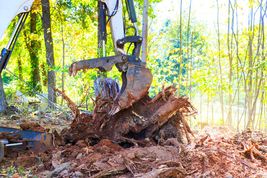 Worker uses an excavator to remove tree roots from ground in forested area during cleanup forest area