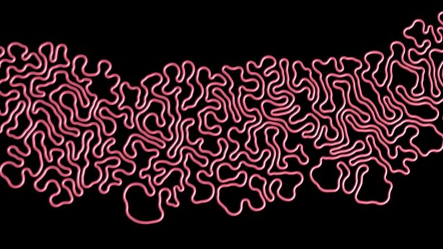 3d Differential Growth simulation. Evolving meandering growing line.  Simple line growing into complex structure. 3d simulation render illustration.
